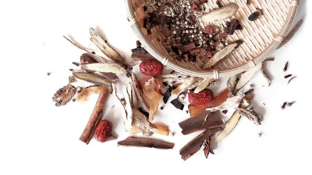 Preparaty medycyny chińskiej - cordyceps